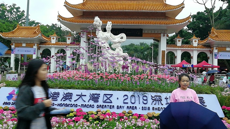 QQ圖片20190404144629