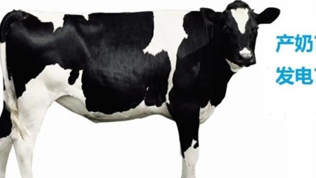 牛糞也能發電！全國最大單體生物質RNG熱電項目投產