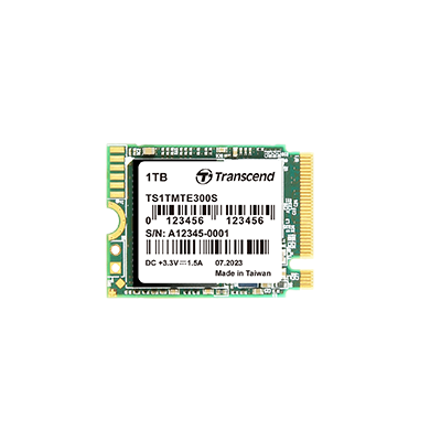 PCIe M.2固態硬盤PCIe SSD 300S